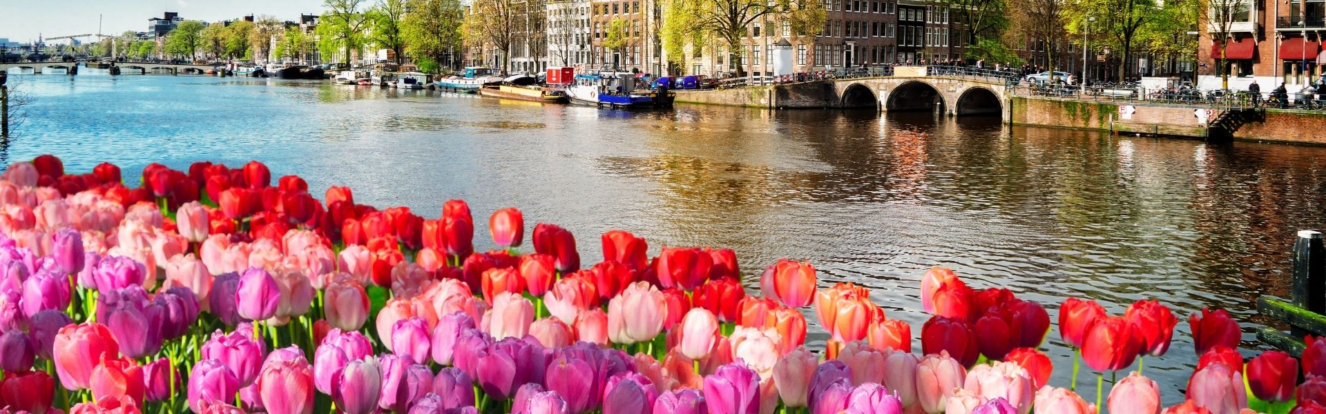 Hollandia
